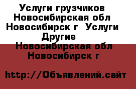 Услуги грузчиков - Новосибирская обл., Новосибирск г. Услуги » Другие   . Новосибирская обл.,Новосибирск г.